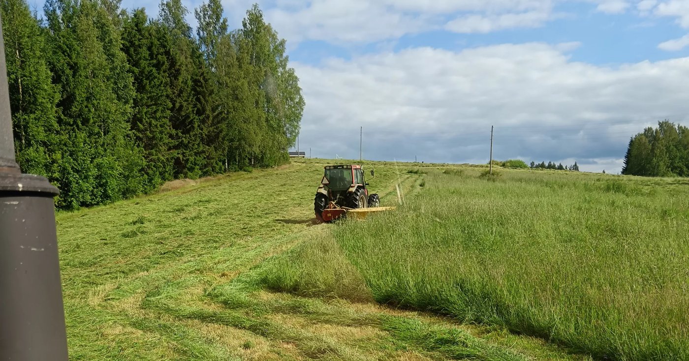 Traktori niittämässä heinää Koiramäen pellolla